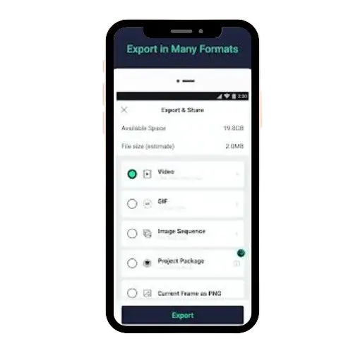 Different Downloading Format Options